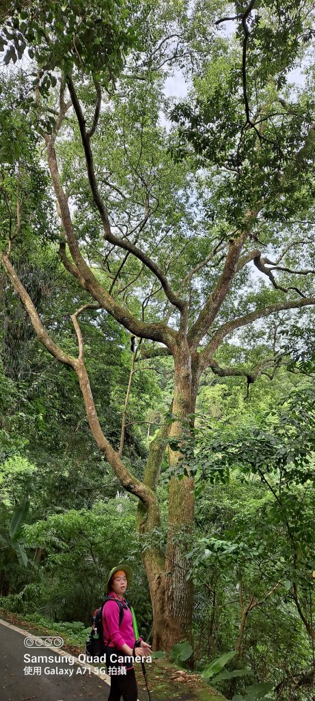 苗栗-獅頭山_1745117