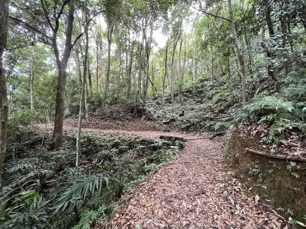 2023-08-13 馬那邦山（馬拉邦山）_2251259