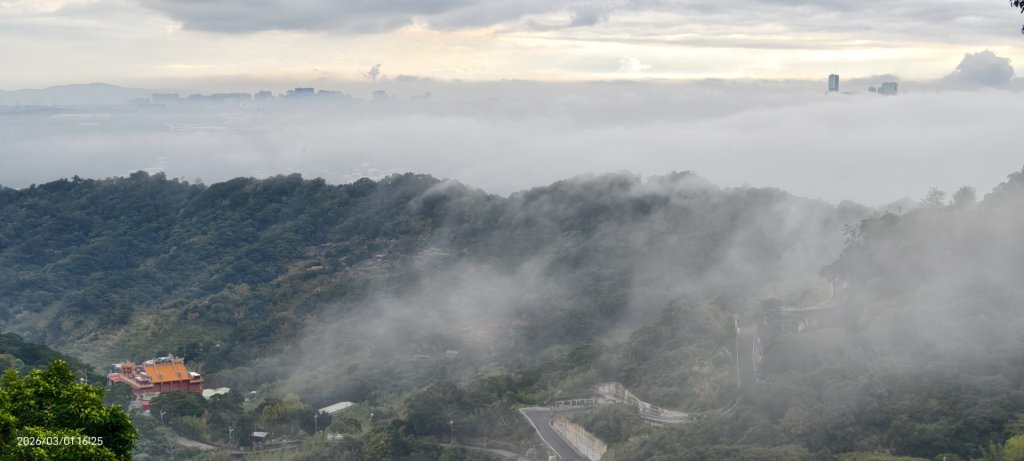#雲瀑 #雲海 #琉璃光 #天空之城（林口）#觀音山 #林梢步道 3/1_3008596