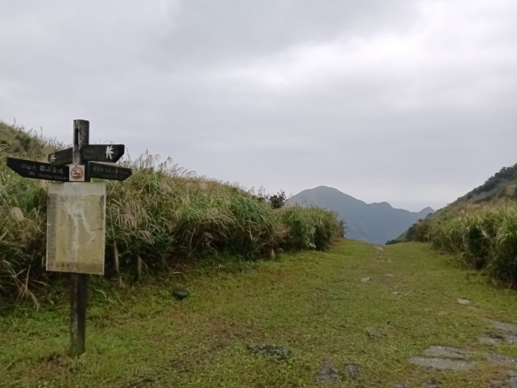 瑞芳區本山地質公園步道+草山公路+百二崁古道+樹梅坪古道O型_2945536