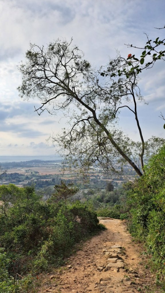 金門：后盤山金中師事件、蔡厝古道太武山_2487811