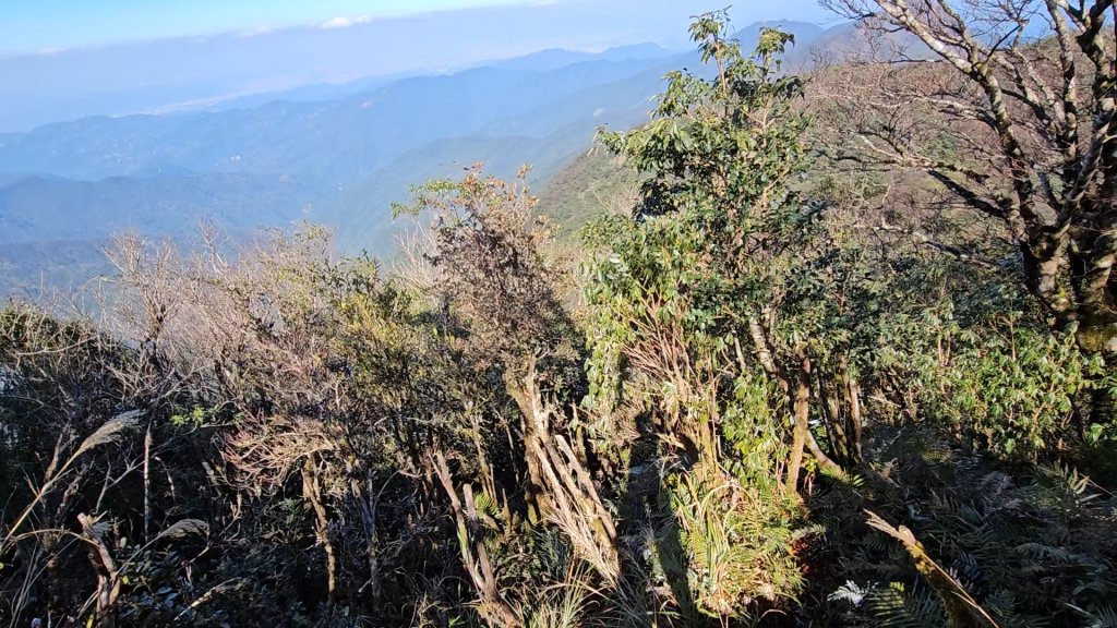 【北插天山】福山上北插天山(整理山徑架繩索布條完工)_2689852