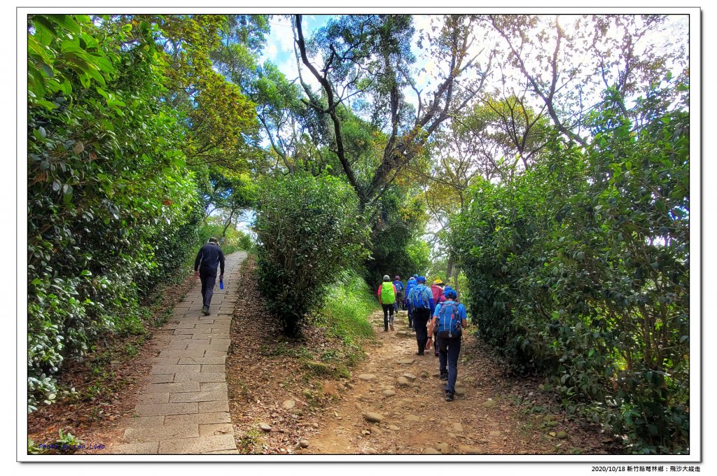 飛沙大縱走_1143704