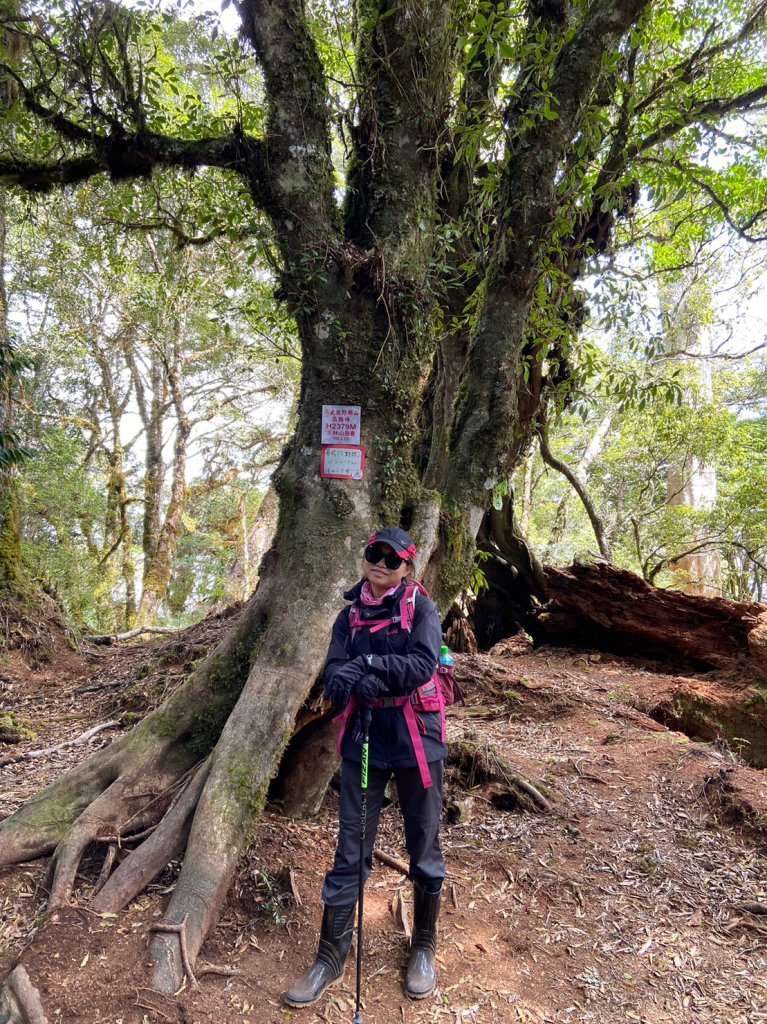 羅馬縱走_2038535