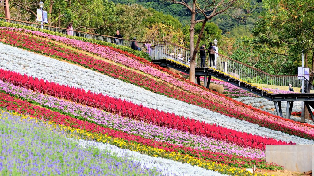 三層崎的呢喃封面圖