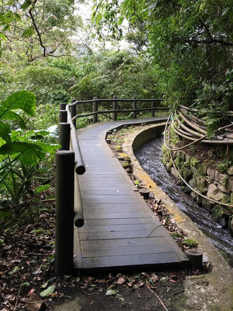 十八分水圳步道封面圖