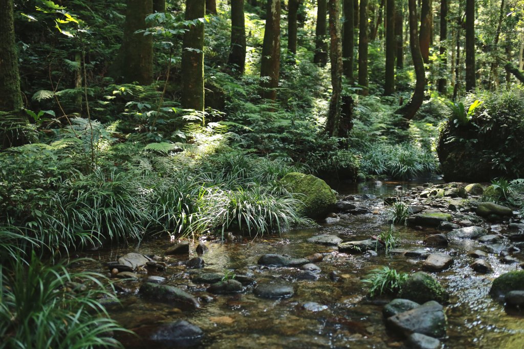 尖石鄉：那結山、貴妃山_1080934