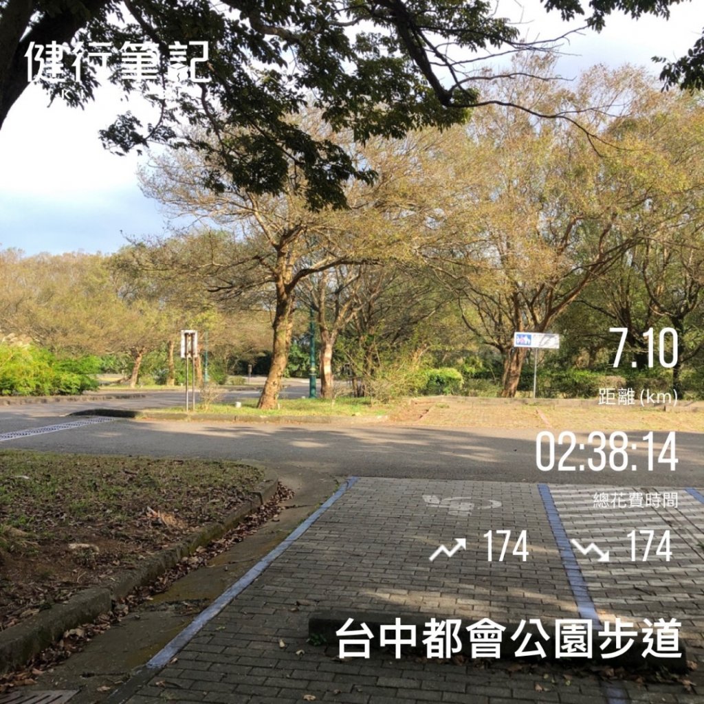 1111126台中都會公園_1928172