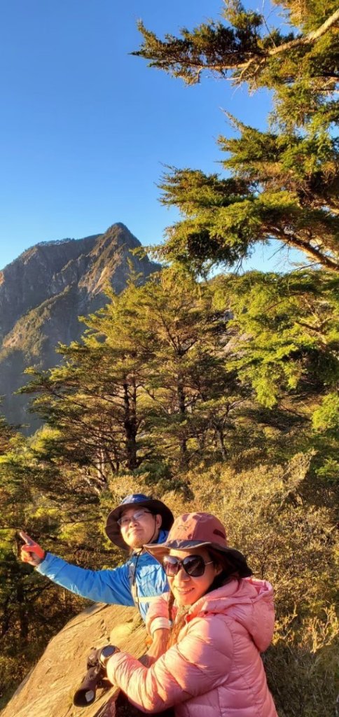 北二段之 甘薯無明_2611826