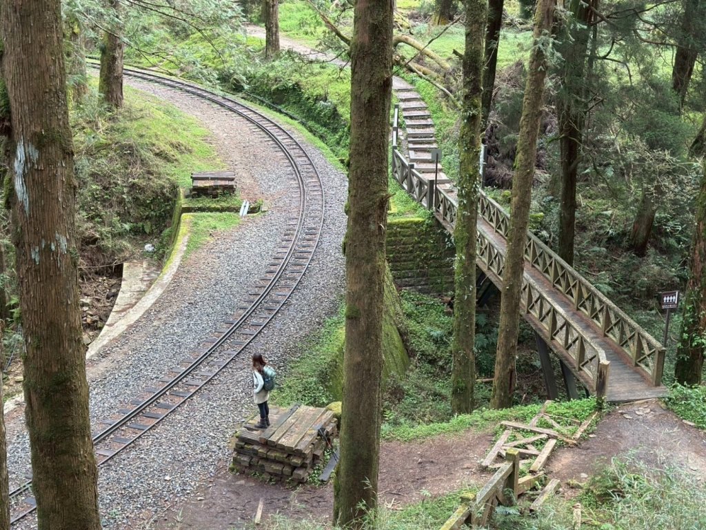 阿里山 眠月線_2767561