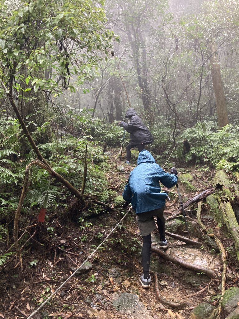 獅仔頭山登山步道_2437067