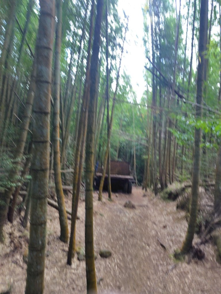 長壽山、肥崠山、醜崠山、大崠山、大崠山經建版_2931543