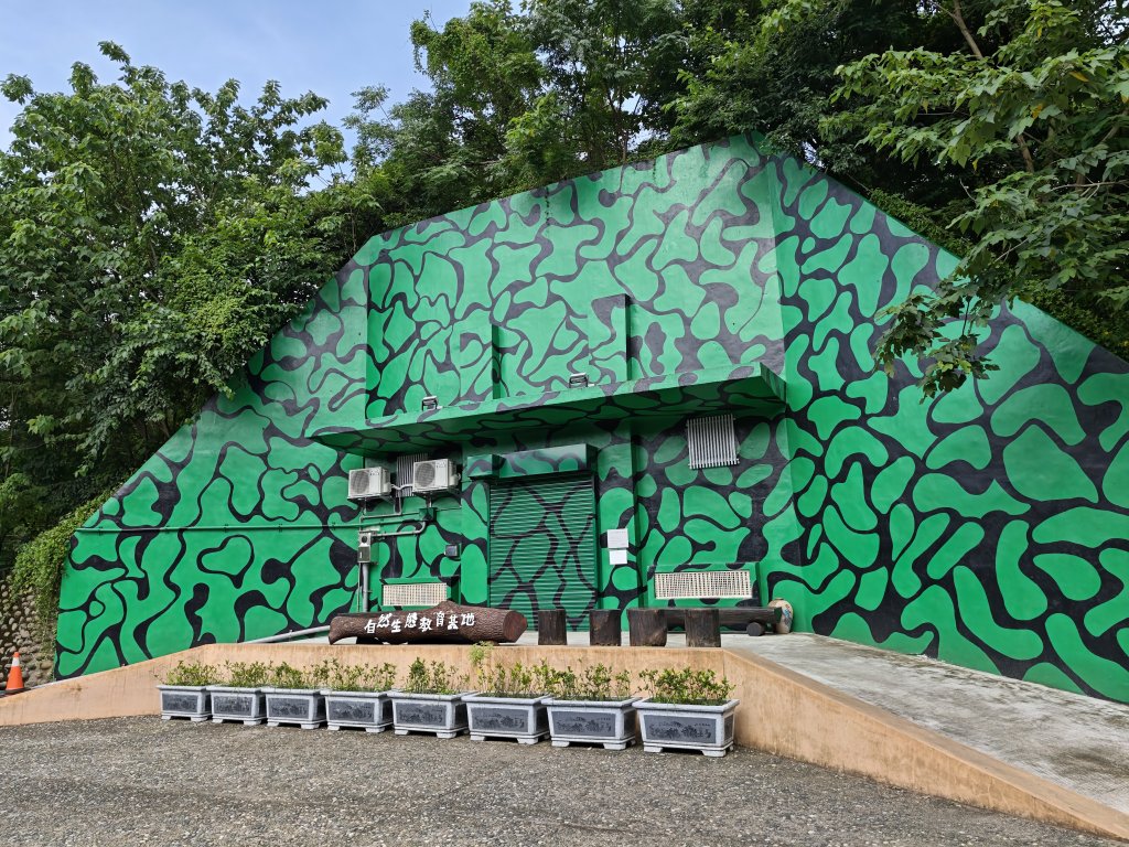 [霄裡好風光，運動樂悠遊！-6/10] 2025_0608 大湳森林公園封面圖