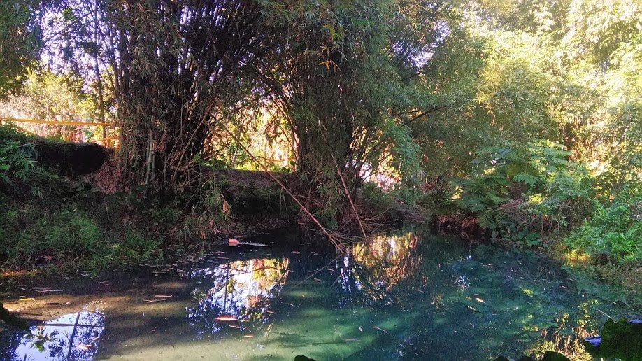 2018 12/2 拉索埃湧泉_879499