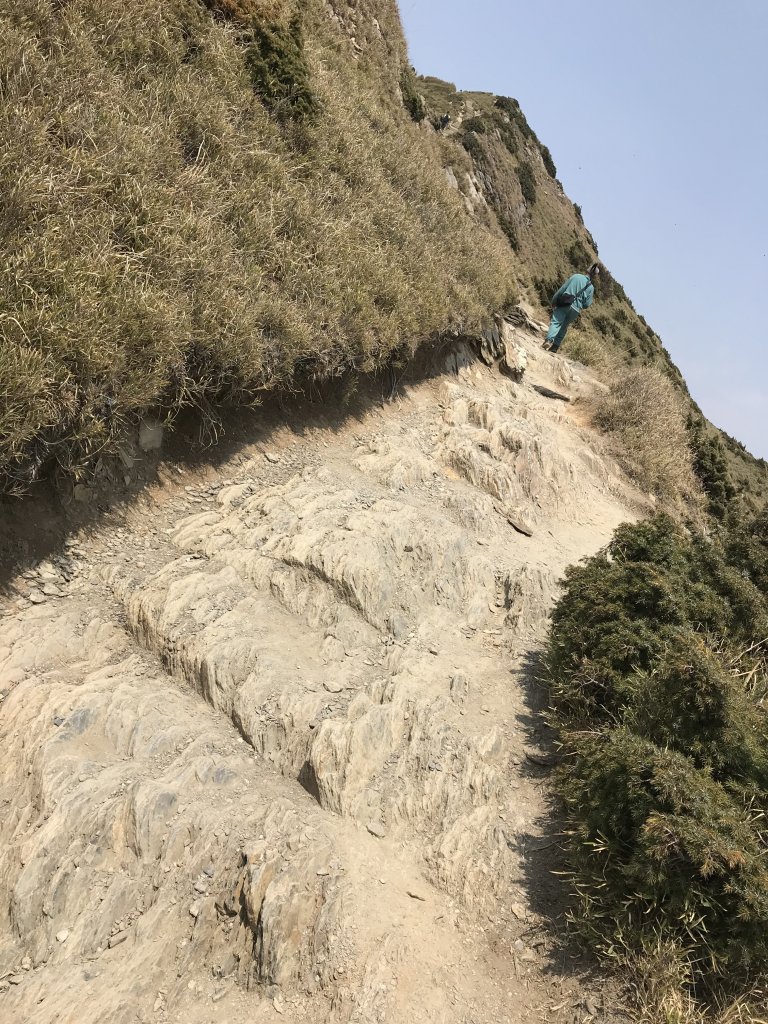 110年4月3日南投  合歡山石門山步道_1456472