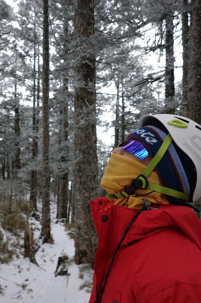 阿興阿賢~-13度的生日雪攀玉山_2706373