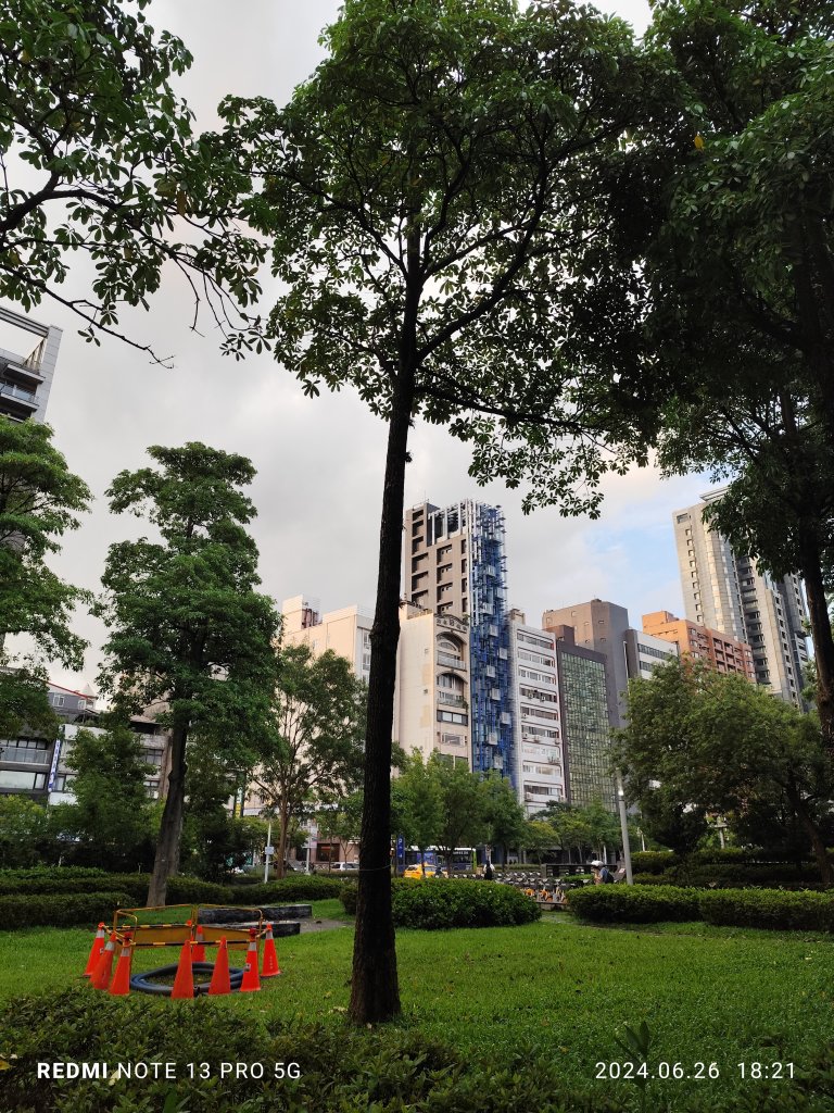 大安森林公園、寧夏夜市、士林夜市【走路趣尋寶】【臺北健走趣】_2536361