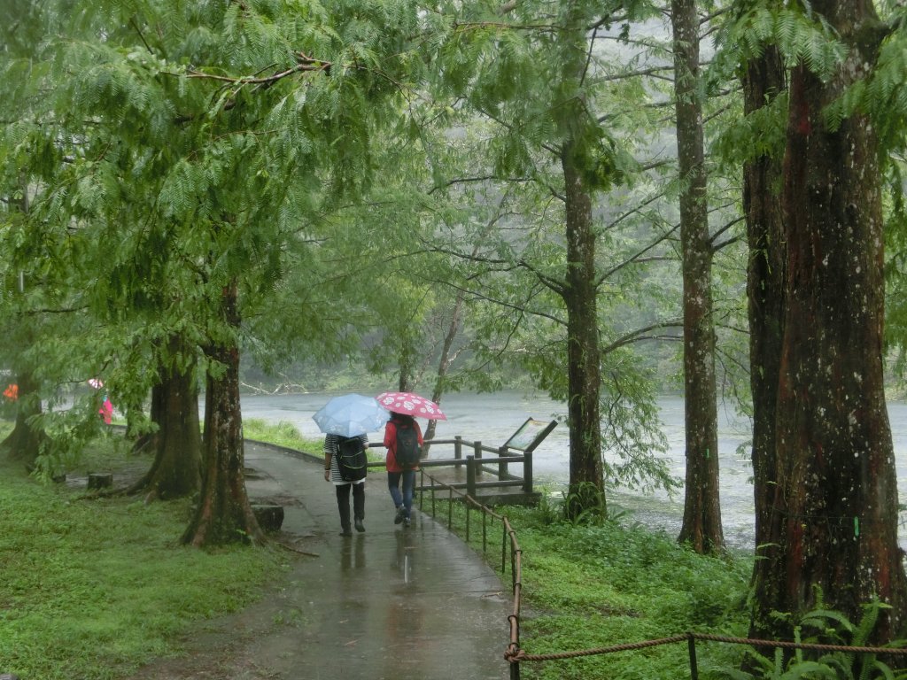 福山植物園_691035