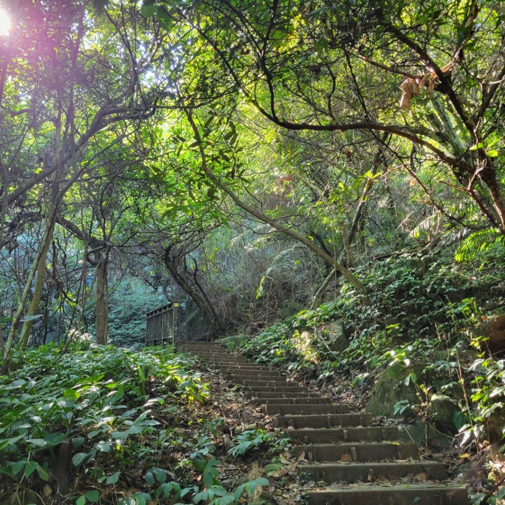 南坪古道、馬胎古道_1906771