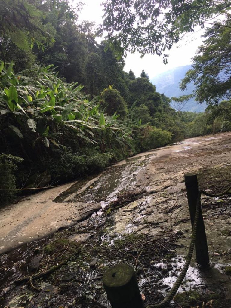 里美避難步道、巨石板步道_185946