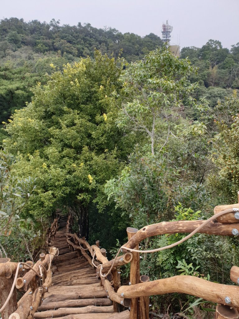 20200129單趟大坑1~5號步道_818153