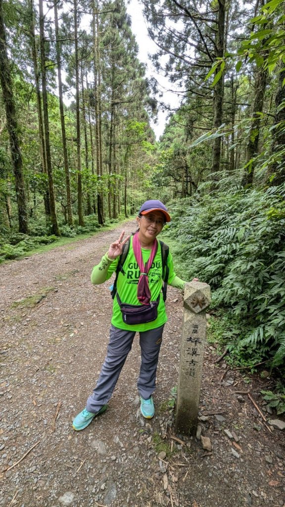 113.06.22坪溪古道-石坑山之旅_2533774