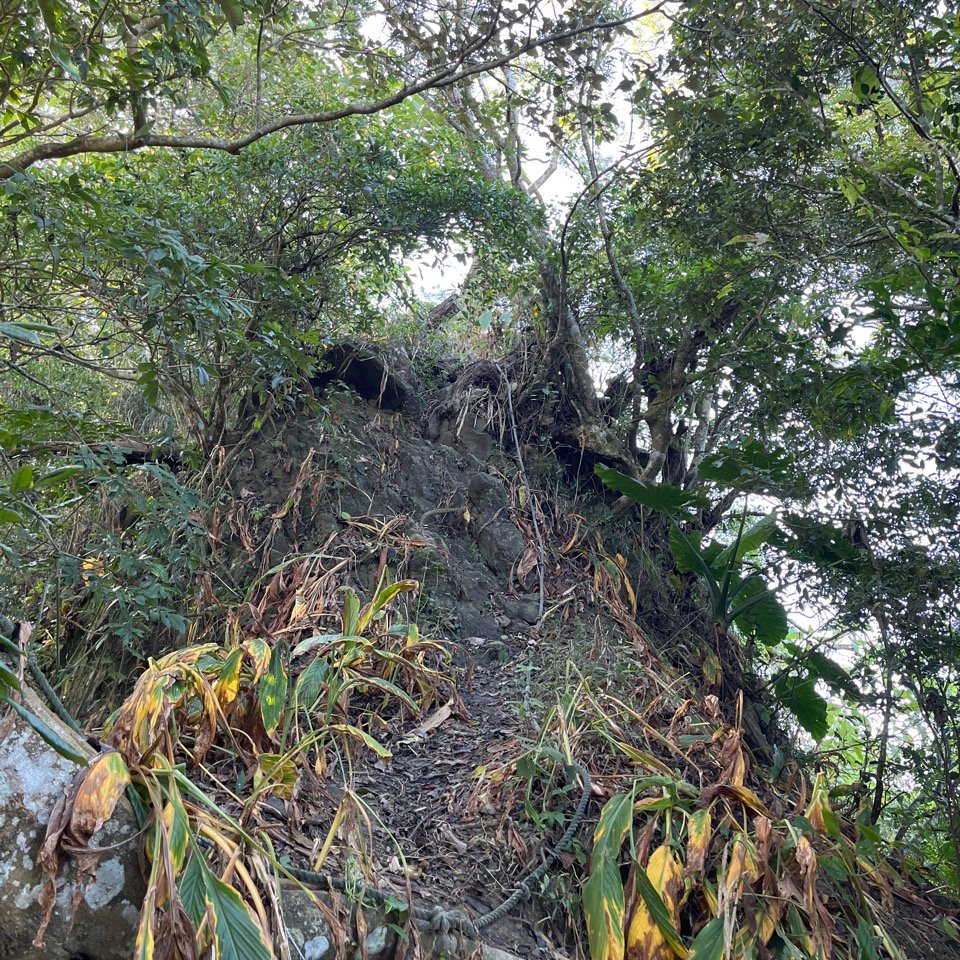 20251115_刣牛湖山（台南小百岳）_2941503