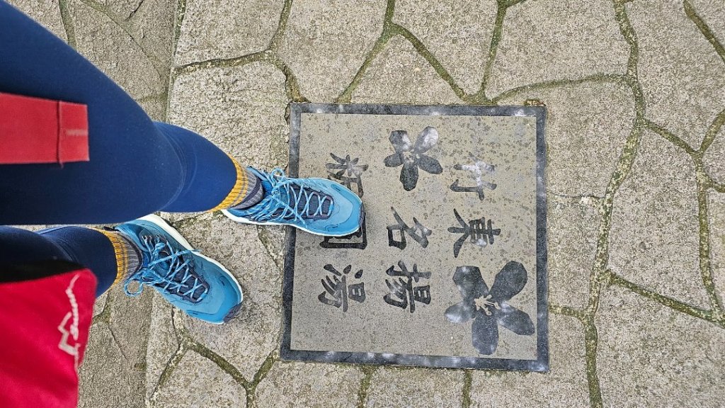 竹東三山O_2375977