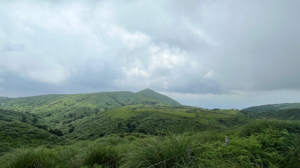 230701 擎天崗環形步道 🐂封面圖