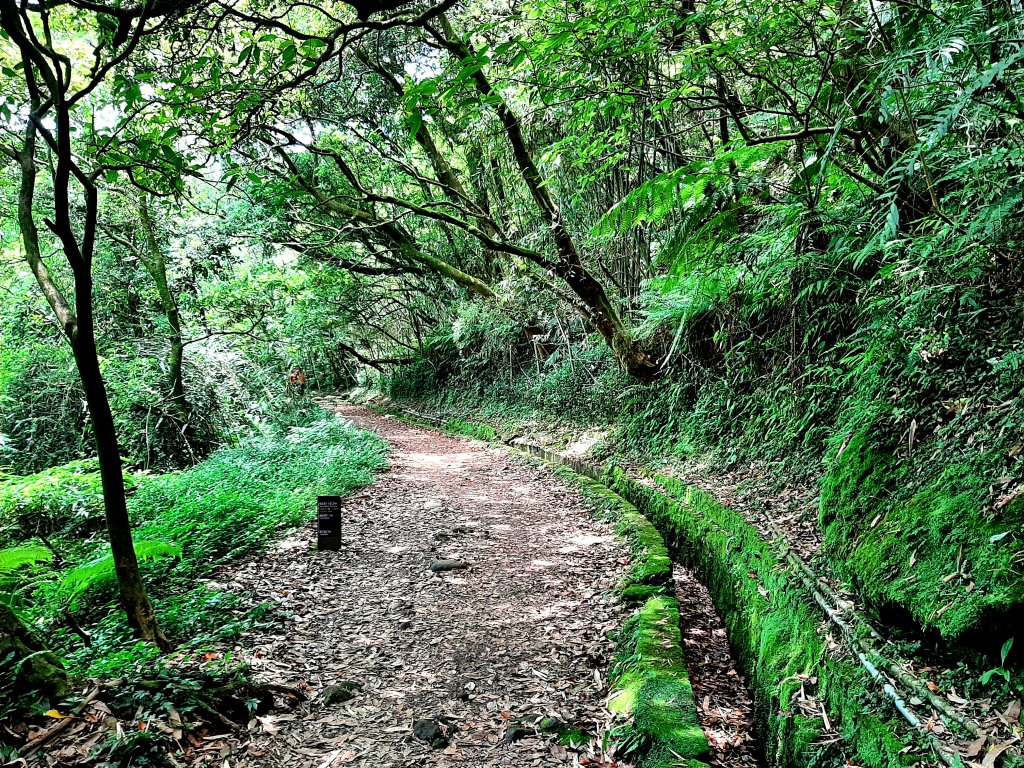 金面山、絹絲瀑布_2532375