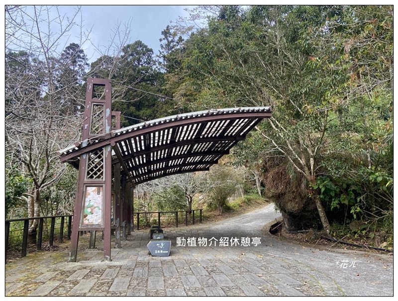 大凍山、頂湖步道 O型ㄧ圈_2984148