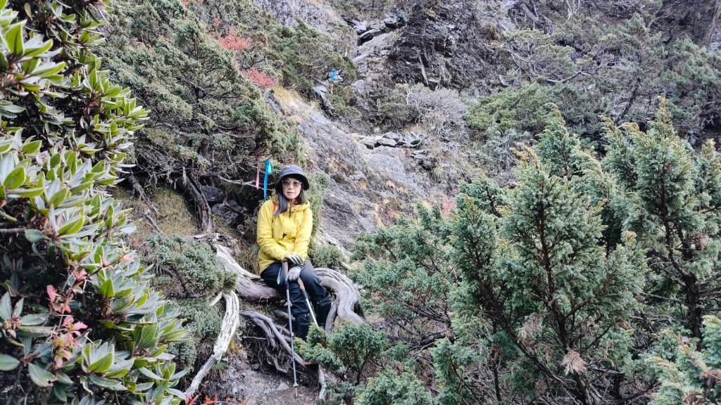 玉山後四峰20251216~19_2967156