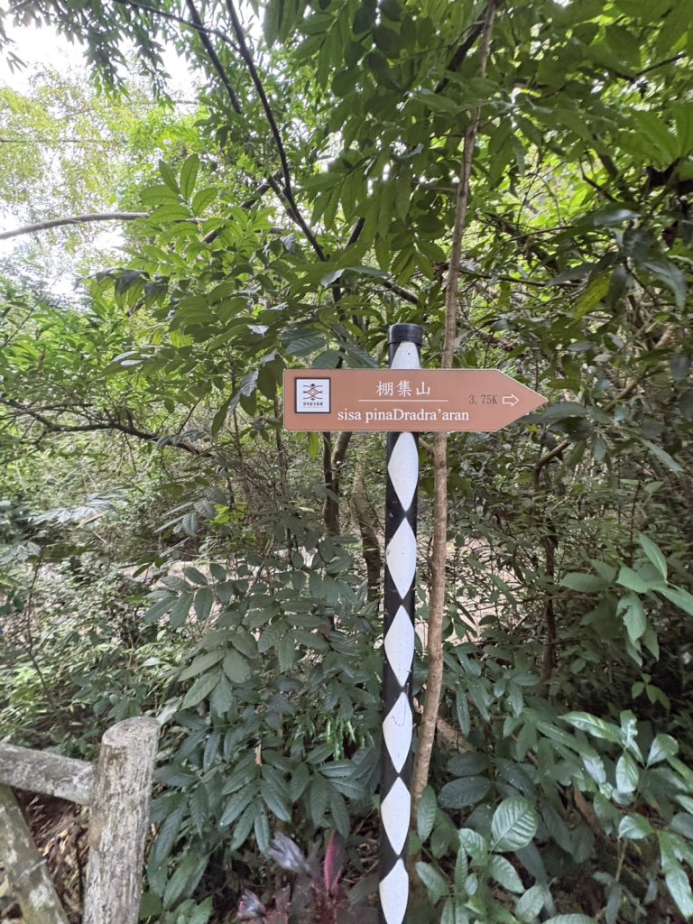 20251109棚集山步道_2935228