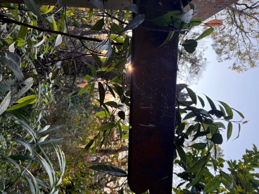 坪林五山縱走 ：九芎根山、金紙崙山、鳥嘴尖山、倒稍楠山、紀州寮山O形_2745296