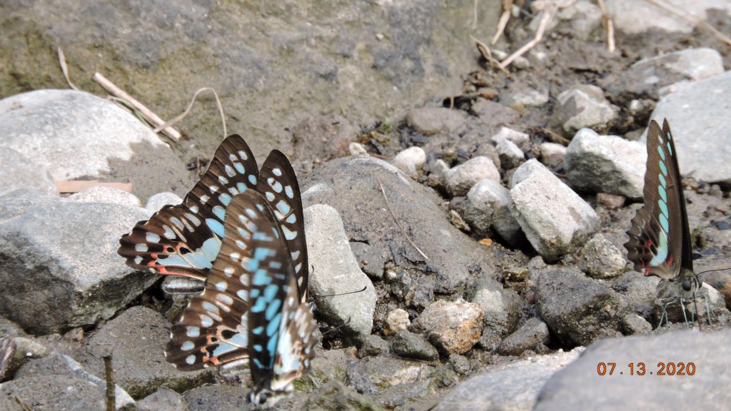 就是喜歡這個藍天白雲的FU_1032121