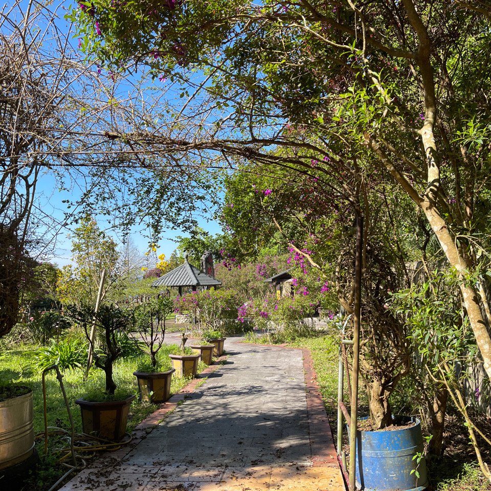 1140319仙山-仙山南峰_2738227