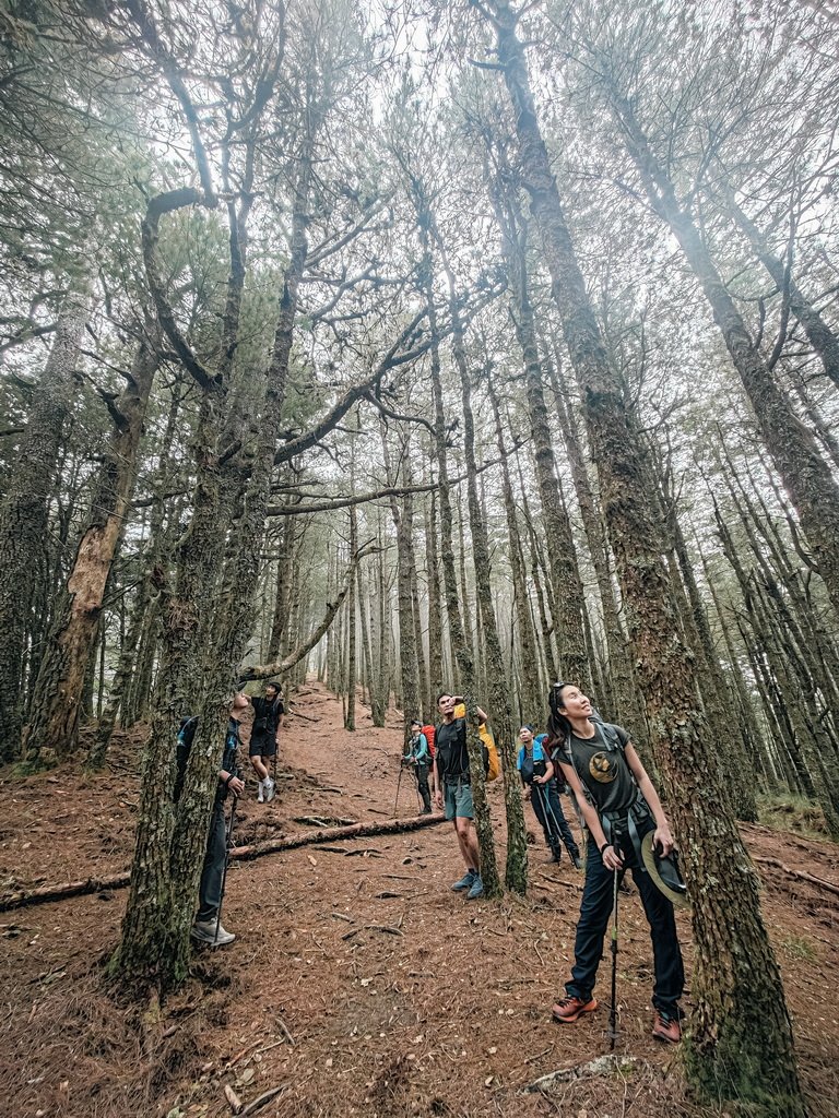 南湖群峰 完整攻略照片集_2770048
