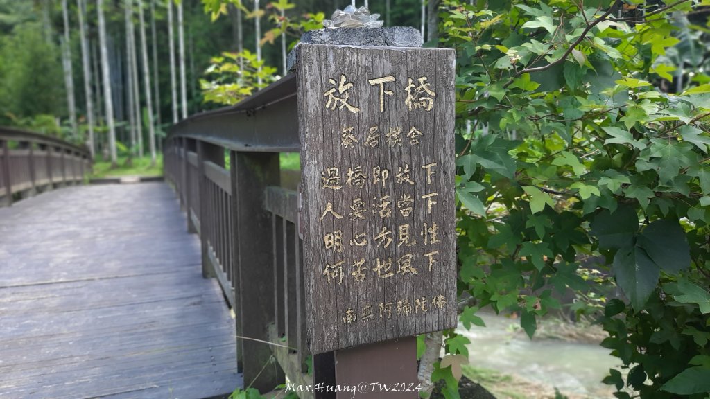 《南投》侏儸紀公園｜魚池澀水森林步道O繞20240629_2538451