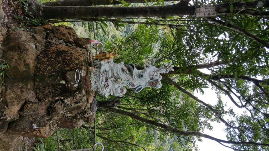 孝子山慈母峰普陀山_1117045