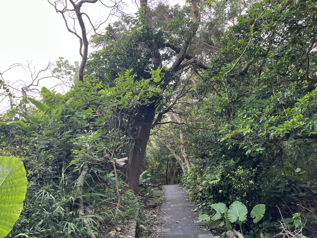 [百山百鳥尋旅-01/15] 2025_0807 和美山步道_2854551
