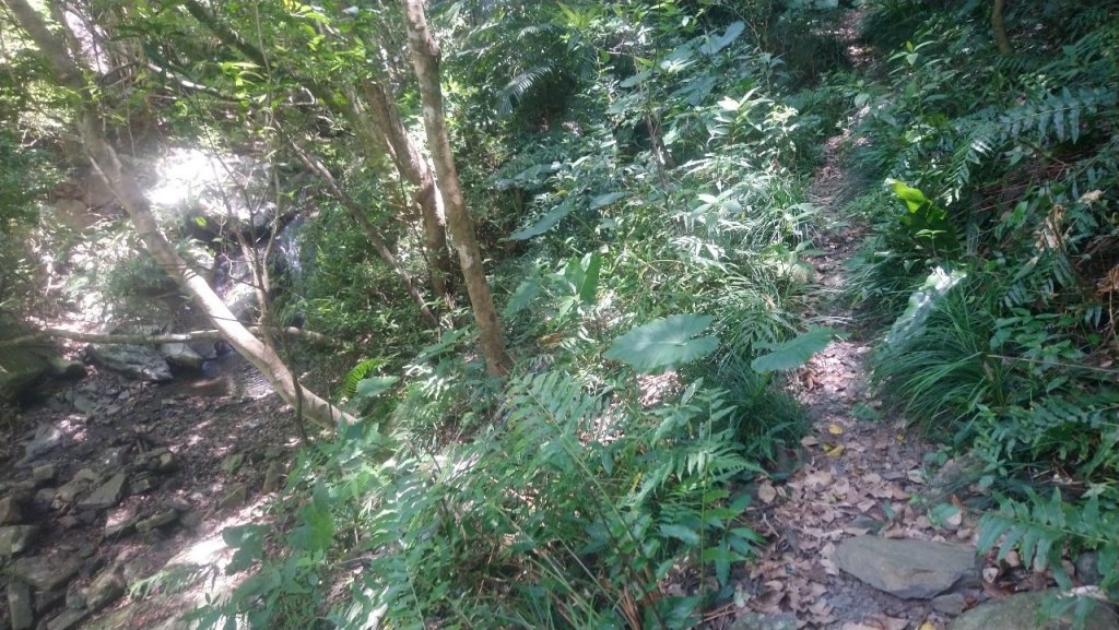 難惹的女仍山_1777339