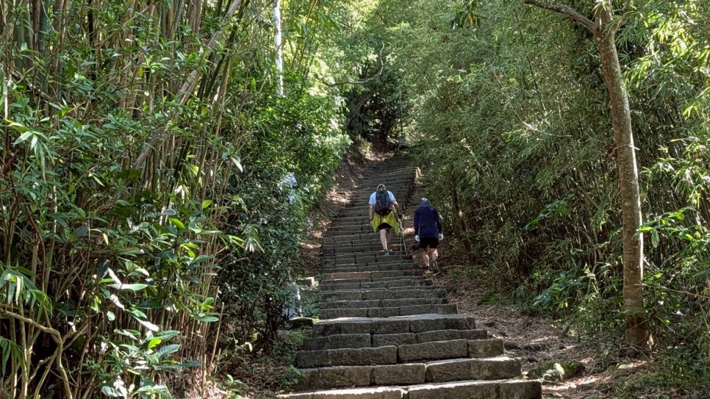 硬漢嶺步道(觀音山)_2935146