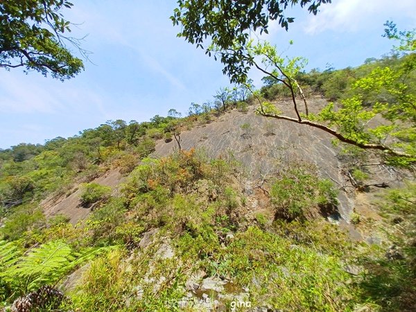 【屏東獅子鄉】海天一色。 台灣百大必訪步道~里龍山自然步道_2550796
