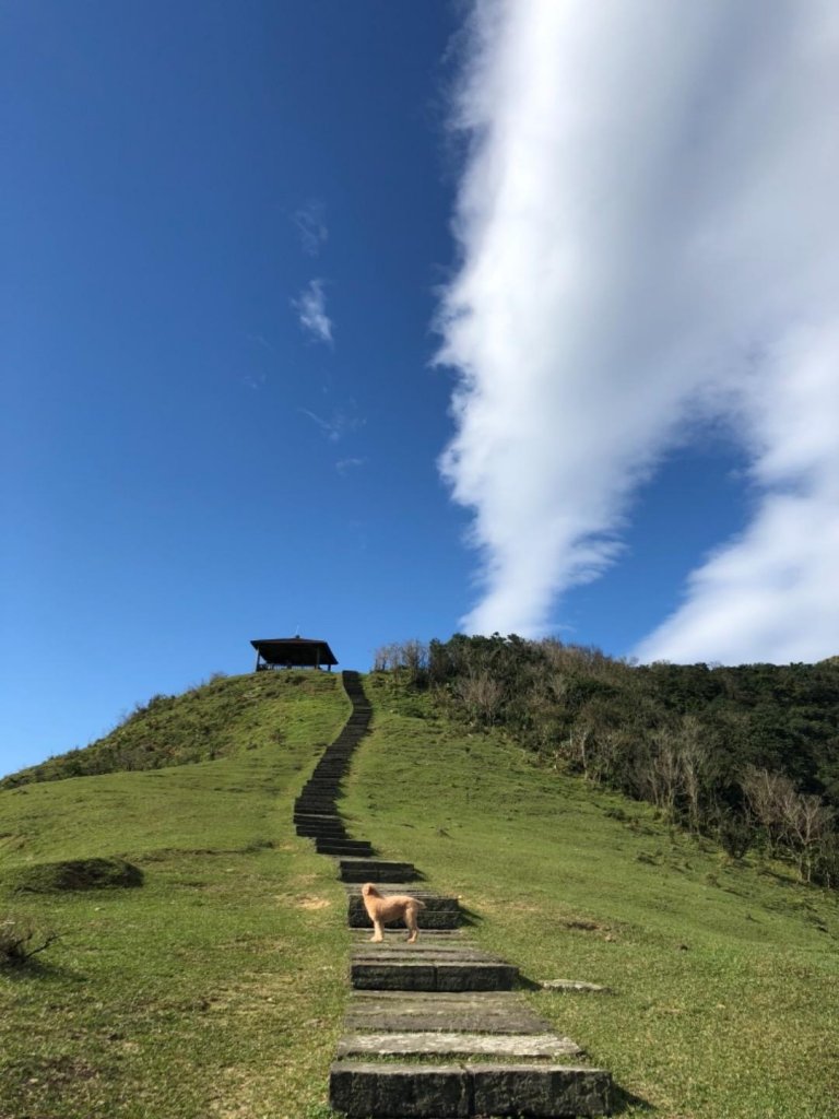 灣坑頭山草嶺古道線無敵山海美景封面圖