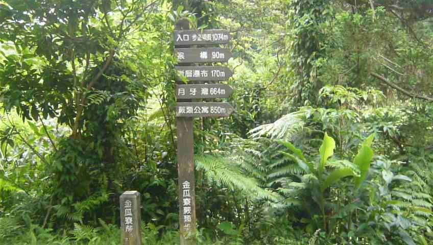 金瓜寮魚蕨步道_962408