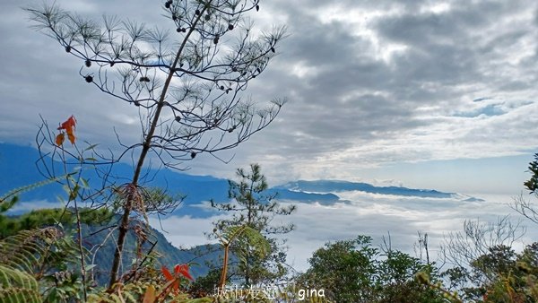 【南投魚池】中部四大名山之山高路遠。 水社大山登山步道封面圖