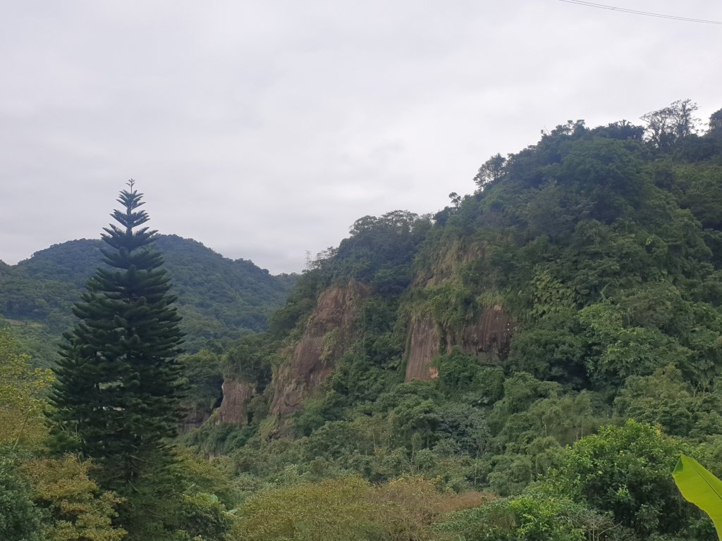 臺北大縱走第六段_1516070