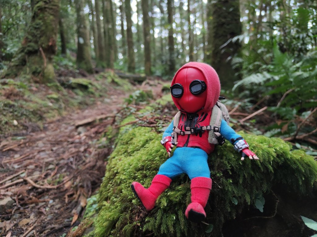 2023.12.27 東眼山封面圖