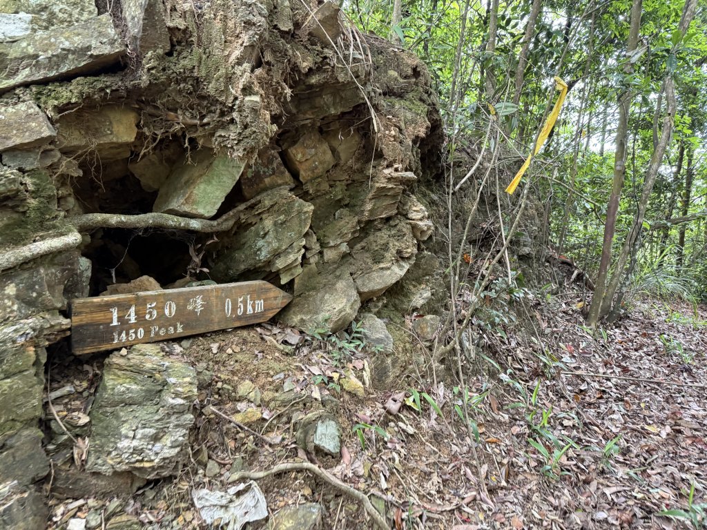 白毛山O繞+臭頭山 20250517_2791746