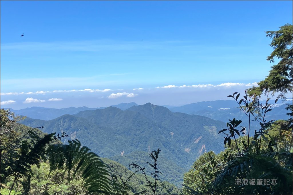 【谷關七雄】八仙山主峰步道_2894871